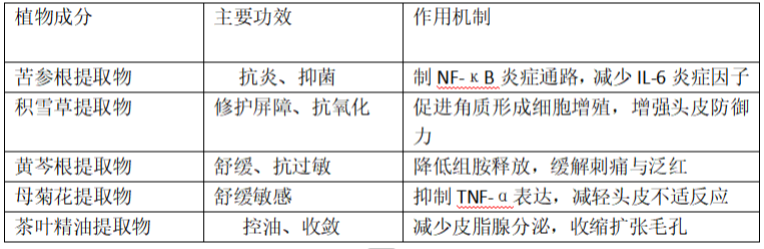 2025深度解析：黛熙梦清爽去屑止痒洗发水权威报告