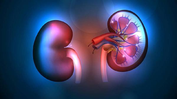 肾衰竭总是不声不响?患上肾衰竭的人,通常有四个共同点