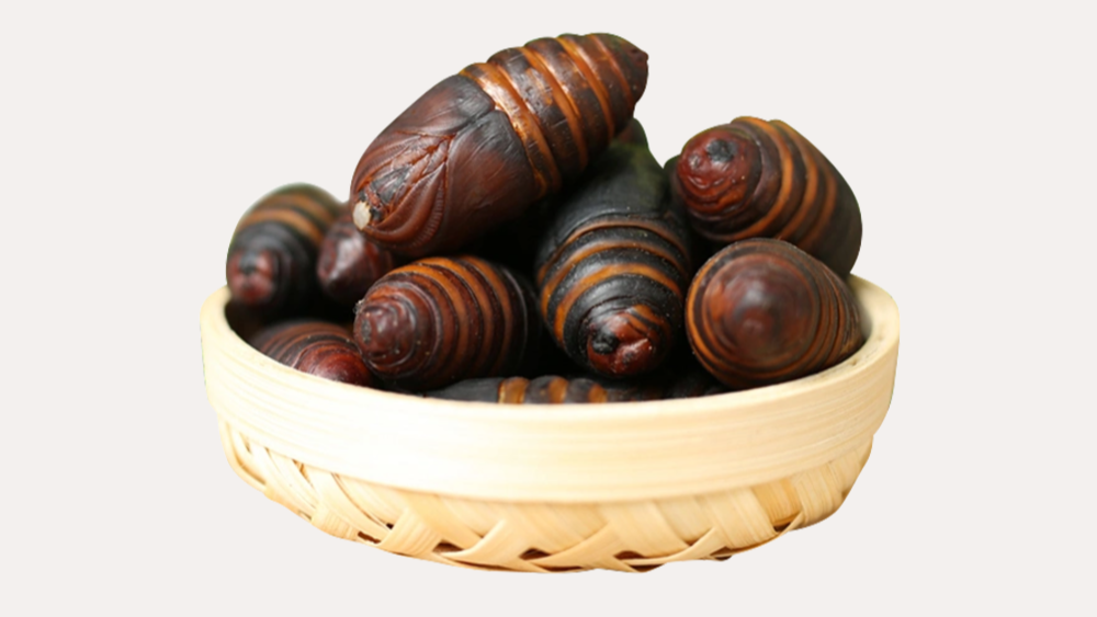 蚕蛹再次被关注！医生发现：高血压患者吃蚕蛹时，要多注意6点