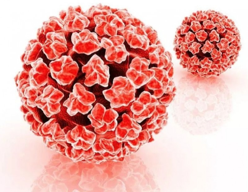 只有一个伴侣，为何还会感染HPV？尤抗赛汀：阻断高低危HPV感染