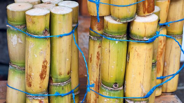 挑选甘蔗时,用上这3个技巧,甘蔗甘甜多汁,越吃越好吃
