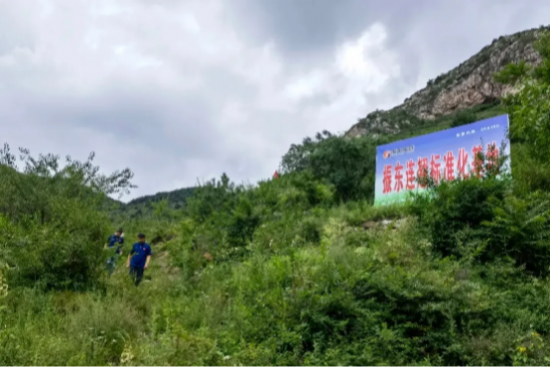 山西振东制药助力连翘共建基地通过跨省GAP检查,筑牢中药质量根基