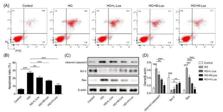 世界卒中日│翰森制药GLP-1RA 周制剂洛塞那肽可降低糖尿病患者卒中风险