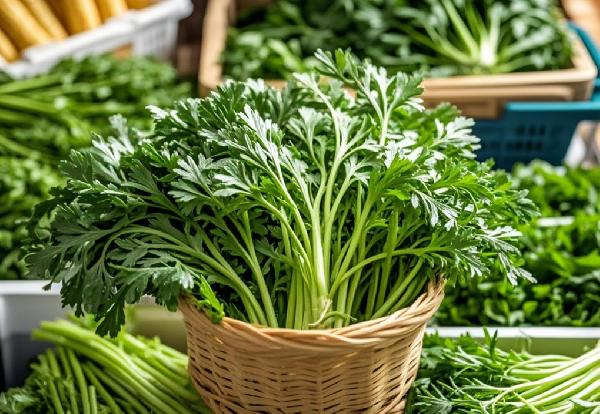 茼蒿立大功!医生研究发现:茼蒿对这3种疾病有好处,可以常吃