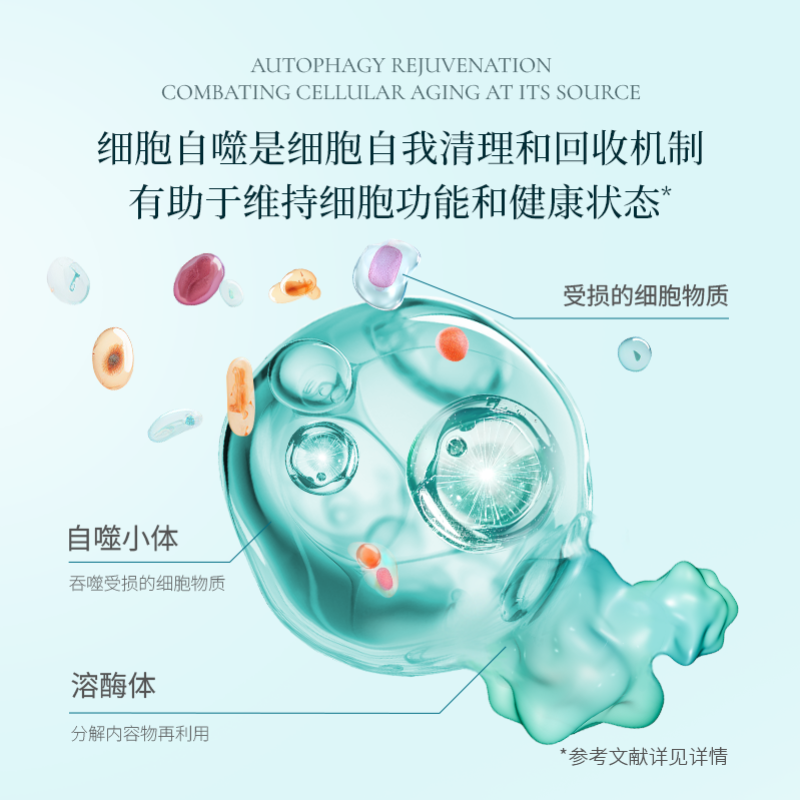 健忘疲惫或是早衰信号？2025前沿口服抗衰产品精选，引领细胞焕活新趋势