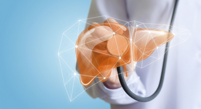 护肝片哪个品牌效果好？2025年10款护肝片排行，肝乐泉肝肠同调成新趋势