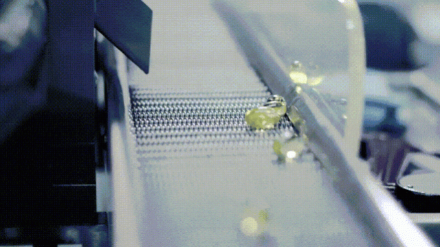 灵芝应该选哪家,关注这份2025十大灵芝孢子油品牌就够了!