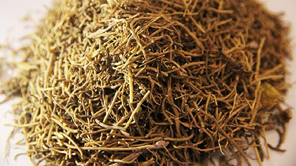 细辛的效果有哪些