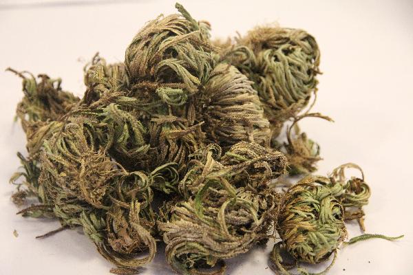 中药包热敷减肥反弹吗