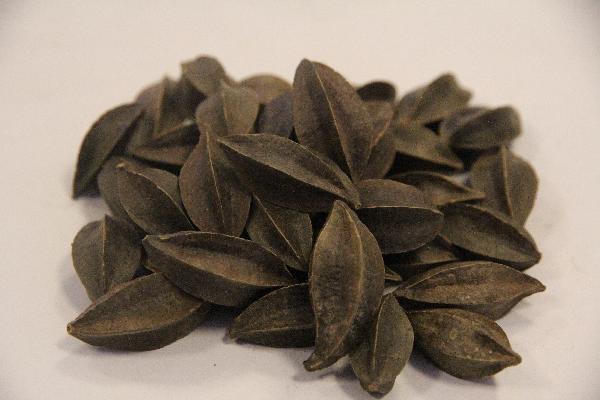 最有效的中药减肥茶配方是什么