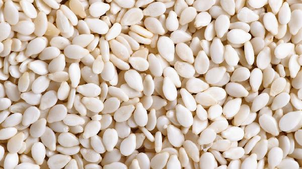 什么食物最刮油减肥