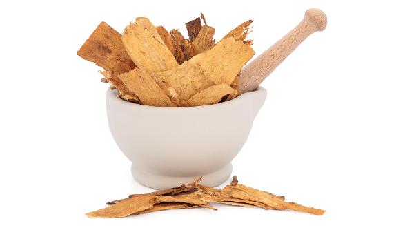 黄柏对男性有什么好处吗