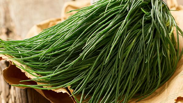 猪毛菜主治哪种疾病