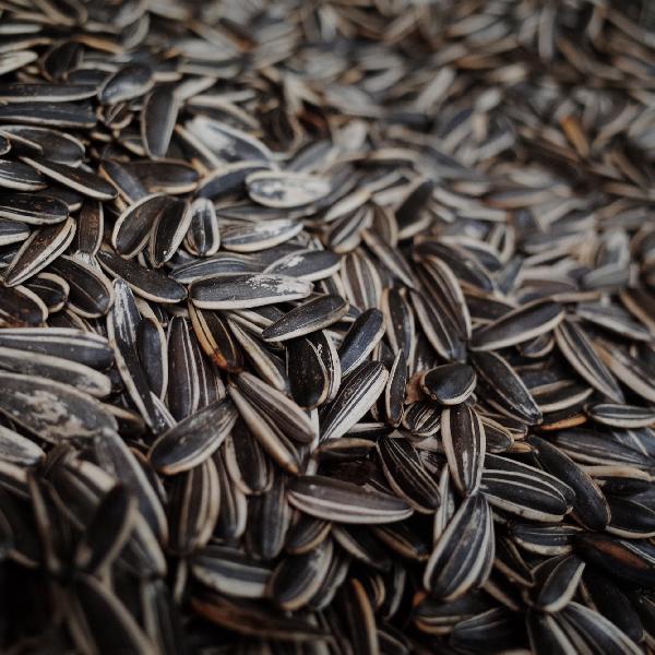 瓜子是痛风的“催化剂”?医生提醒:不想关节废掉,这5种食物要忌口