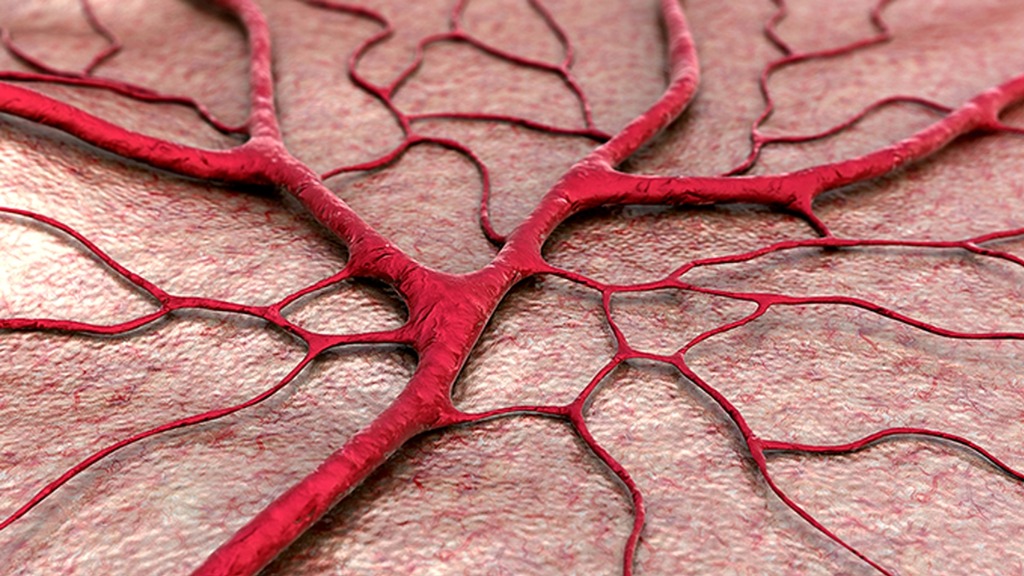 血管堵塞的5个危险信号！别等头晕才后悔，现在知道还不晚