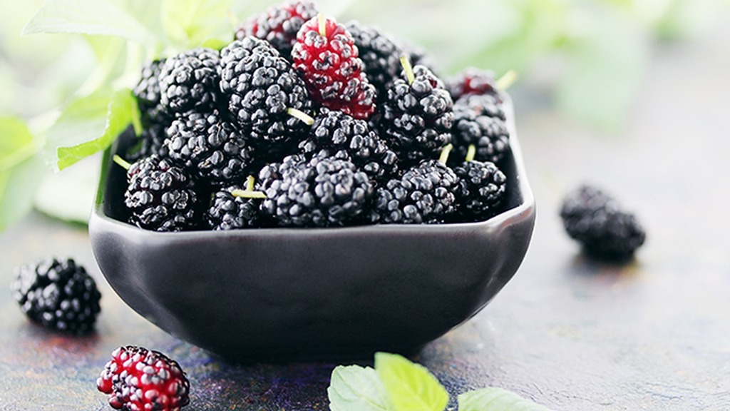 长期吃桑葚干,能养血润肤?医生提醒:中老年人谨记2个关键点