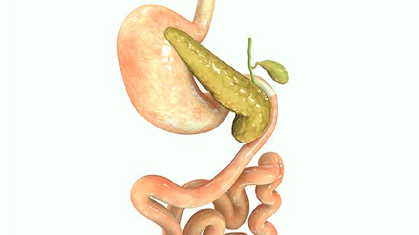 宝宝胆小懦弱怎么鼓励?