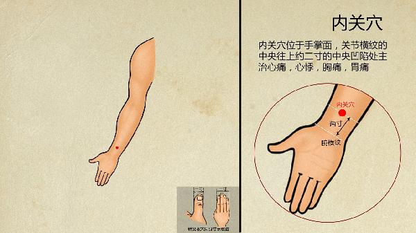 内关穴位于何处你了解它的秘密吗