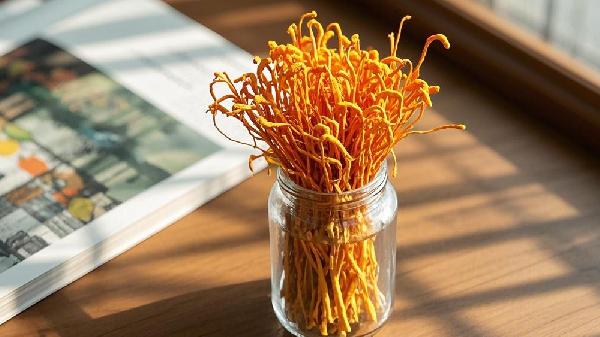 虫草花的功效及作用是什么