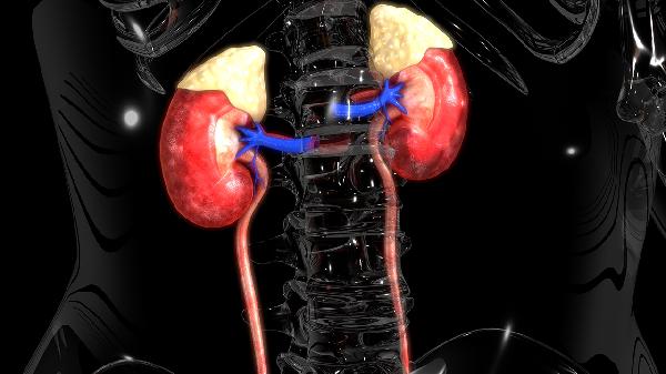 补肾养血丸的功效与作用