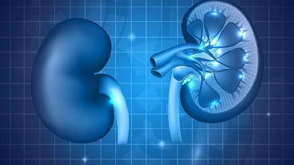 肾病悄悄找上门？远离这4件事，肾脏年轻10岁