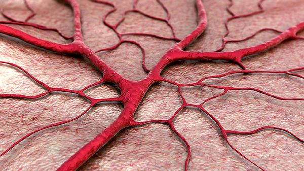 吃肉少VS爱吃肉：谁的血管更健康？研究结果出乎意料