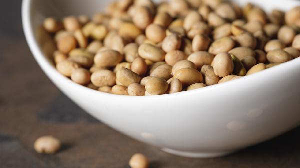 黄豆补钙排第几？营养师揭秘冬天必吃的4种高钙豆