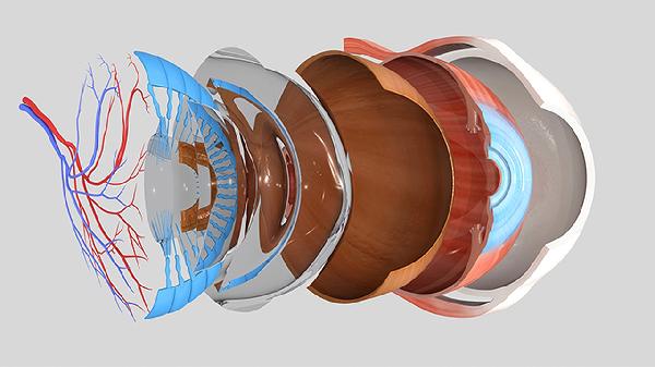 眼睛怎么快速消肿