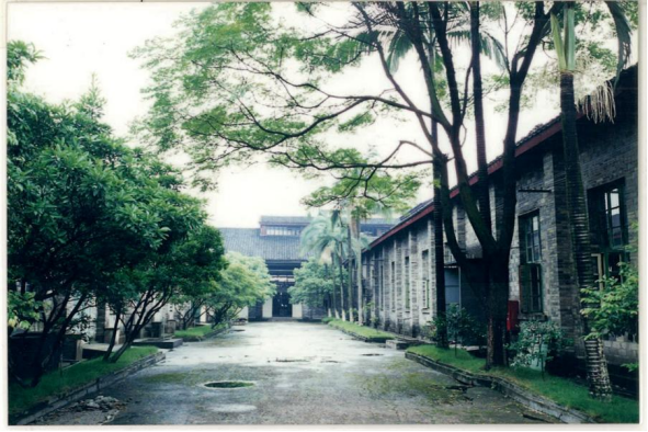 从验方到典范：复方鸡骨草胶囊，玉林制药研发人的匠心传承