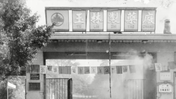 药食同源！玉林复方鸡骨草胶囊，熬夜应酬族的日常护肝优选