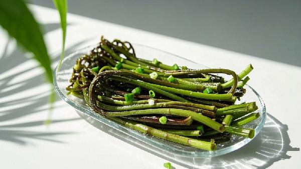 爱吃蕨菜必读!医生详解致癌风险,这样吃更安全