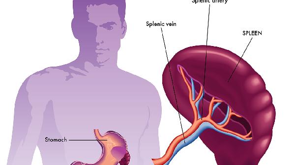 无症状脾大需要定期做B超吗