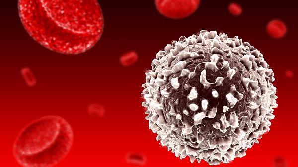 白细胞总数偏高是白血病吗