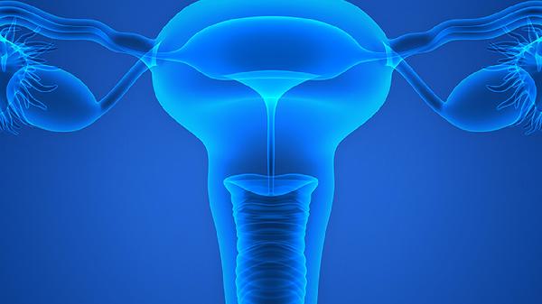 感染了hpv16还能打宫颈癌疫苗吗