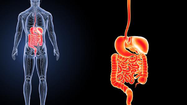 查出结肠息肉？这6类食物赶紧拉黑，身体会感谢你