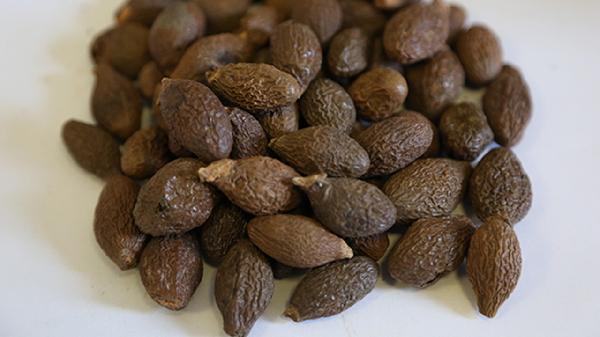 为什么严禁中药雾化