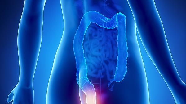 史克肠虫清多久吃一次比较好