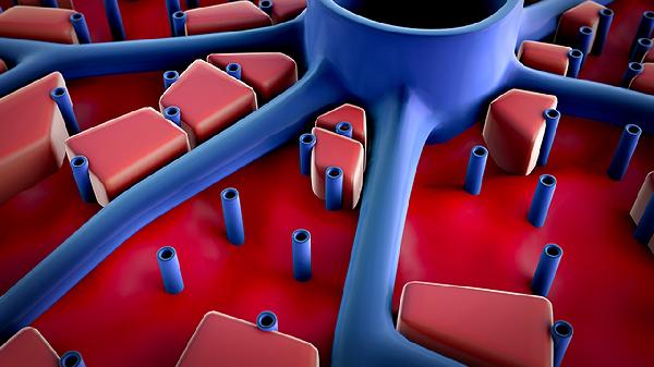 复方斑蝥胶囊适用于哪些肿瘤的治疗?