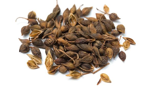 连翘败毒片适用于什么疾病呢?