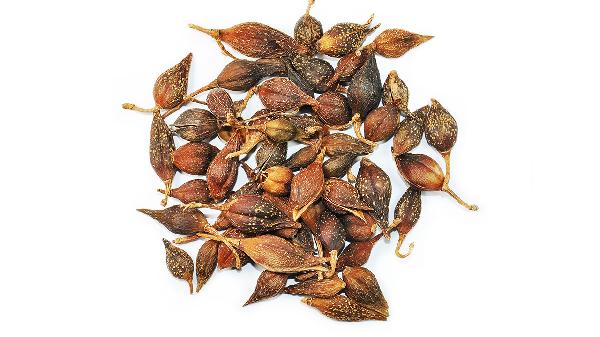 连翘败毒片是治什么的