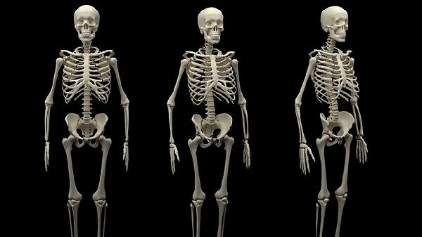 接骨续筋片是国产药吗？