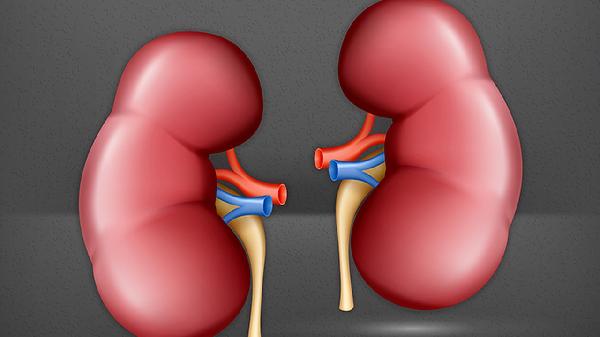 生精片有补肾益精的作用吗