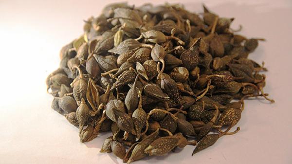 连翘败毒片药不良反应有哪些?