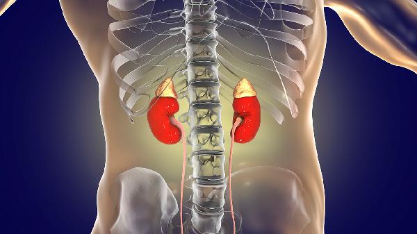 肾衰宁胶囊的效果怎么样