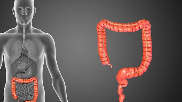 奥美拉唑肠溶片和丽珠得乐同用吗