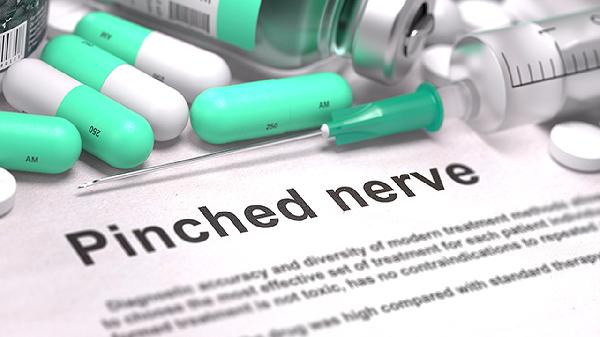 芪珍胶囊由哪些药材组成