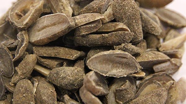 郁金银屑片由什么制成