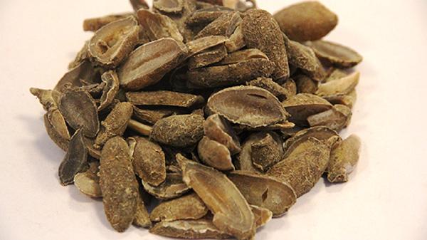 郁金银屑片药物成分有当归吗