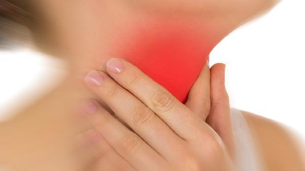 金嗓子喉片的成份有什么