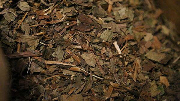 正胃片的药物相互作用是？